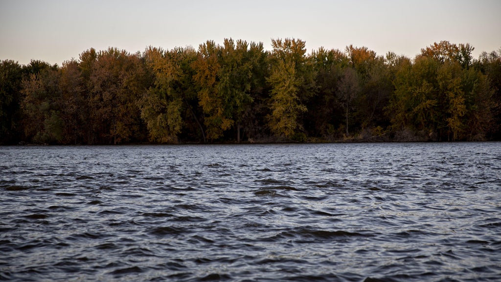 Watchdog says PFAS found in 100% of Minnesota water testing sites — WCCO / CBS Minnesota, Woodbury Health news