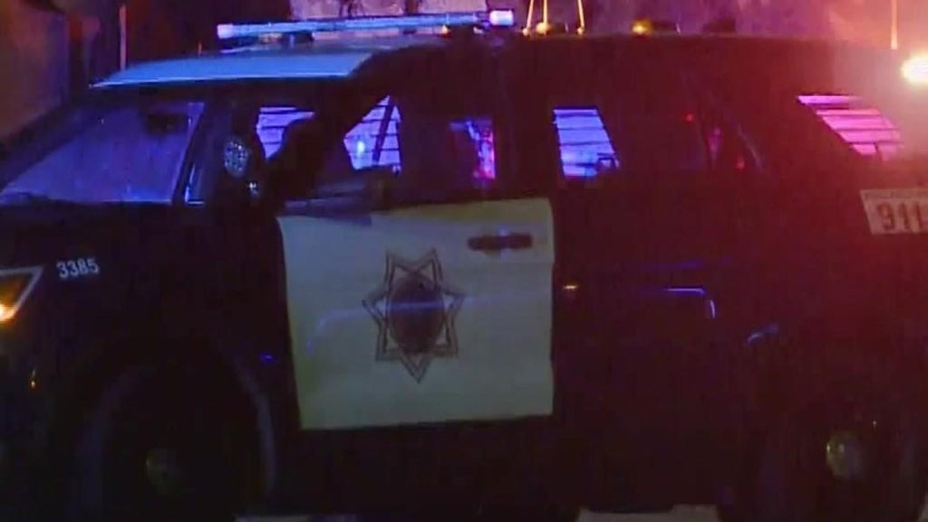 San Jose teens involved in traffic stop that preceded police shooting, attempted carjacking — CBS Bay Area (KPIX), Woodbury Schools news