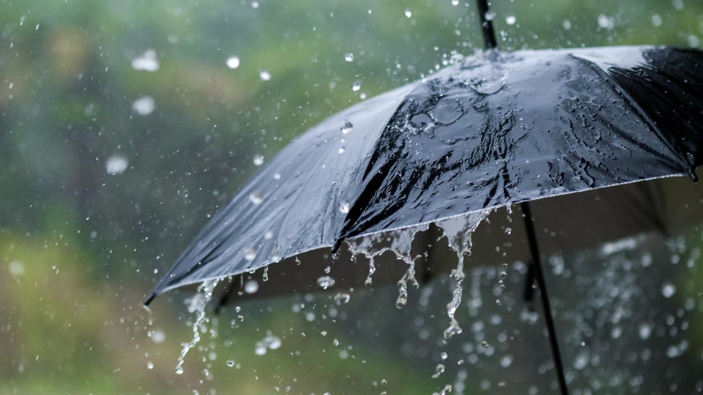 Widespread rain in Minnesota Monday; milder air returns Tuesday — WCCO / CBS Minnesota, Woodbury Community news