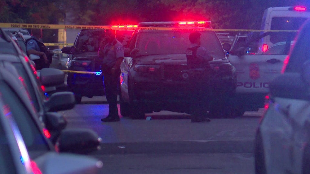 Officer fires gun after armed carjacking, squad car hit by stolen car — WCCO / CBS Minnesota, Woodbury Health news