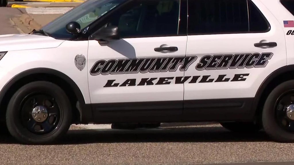 Lakeville man convicted of murdering sister, her unborn child in 2024 — WCCO / CBS Minnesota, Woodbury Community news