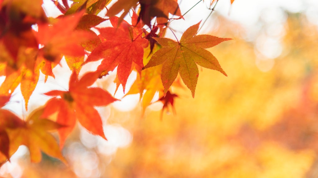 More sunny, mild late October weather in Minnesota Tuesday — WCCO / CBS Minnesota, Woodbury Business news