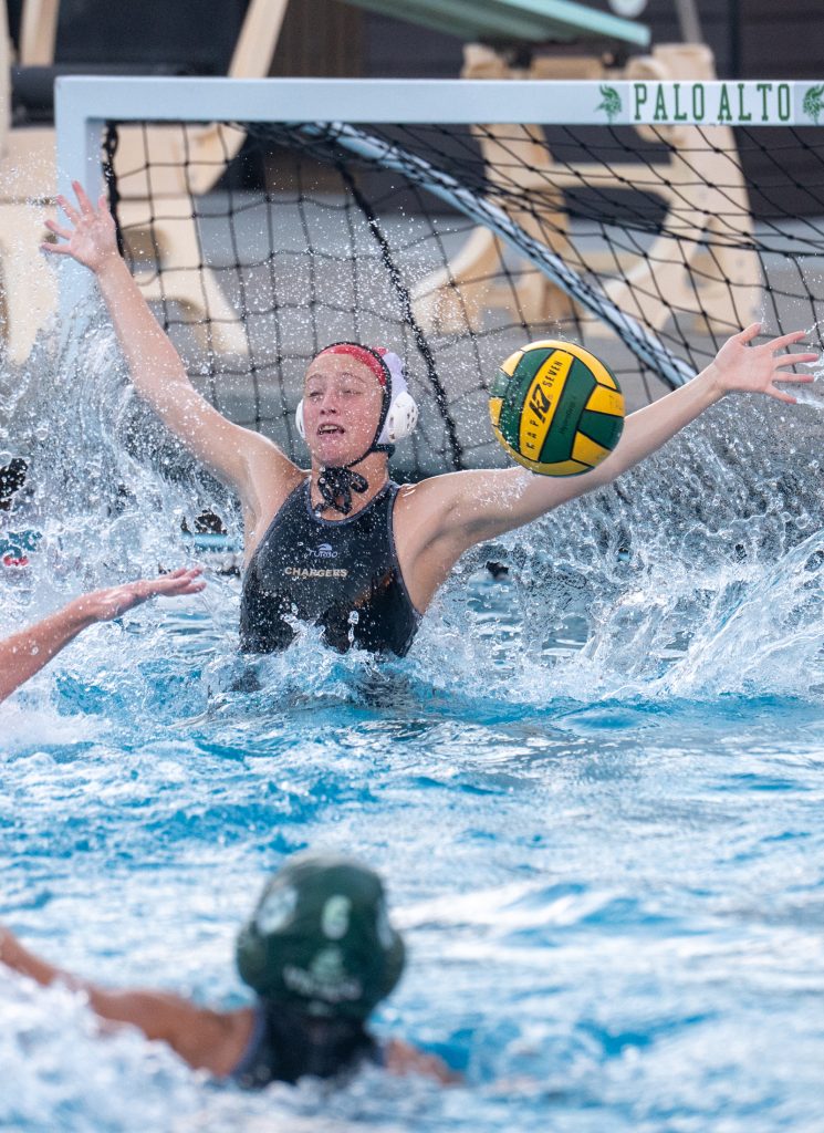 Wilcox Water Polo Caught in Vikings Rip Current — Silicon Valley Voice, Woodbury Sports news