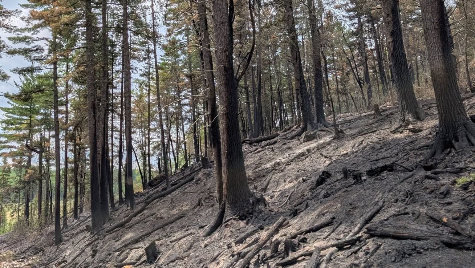 74-year-old who became separated from his family on a trail in Ely was discovered dead — KSTP 5, Woodbury Community news