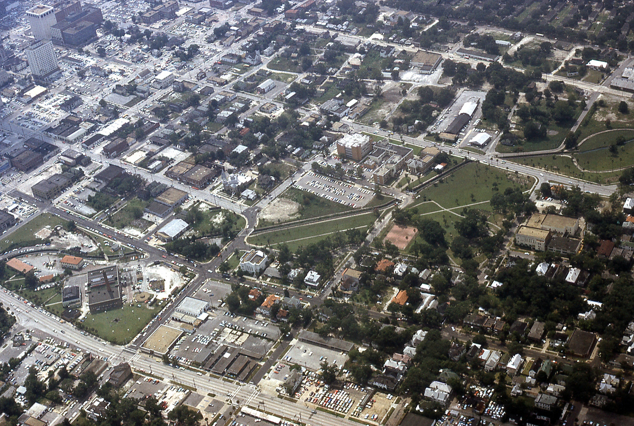 THE JAXSON | The oak tree that remembers Black Bottom — Jacksonville Today, Woodbury Schools news