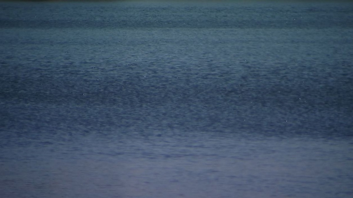 Body of missing Spicer woman recovered from Kandiyohi County lake — FOX 9