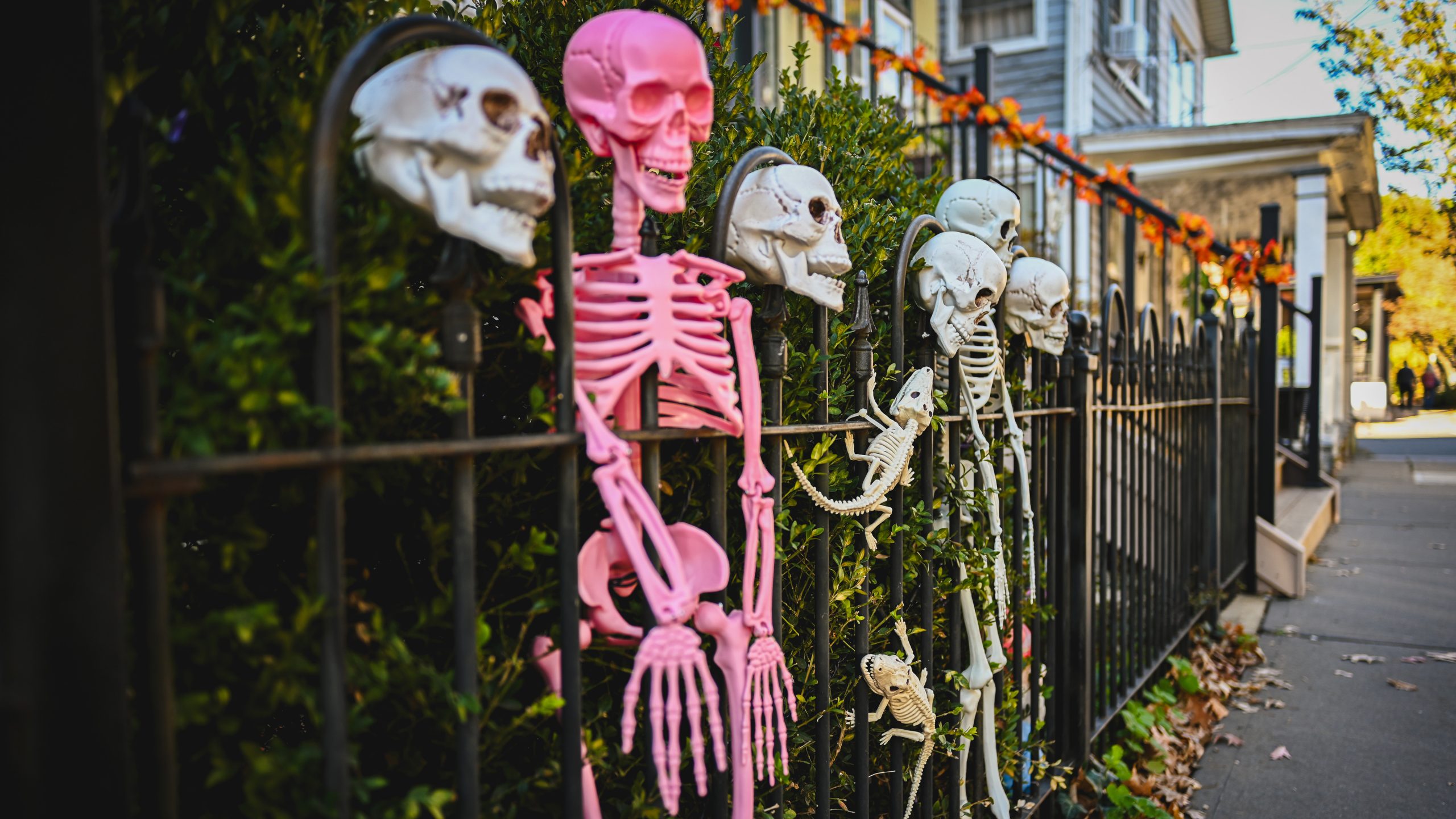 America's best cities for Halloween, ranked — FOX 9, Woodbury Community news