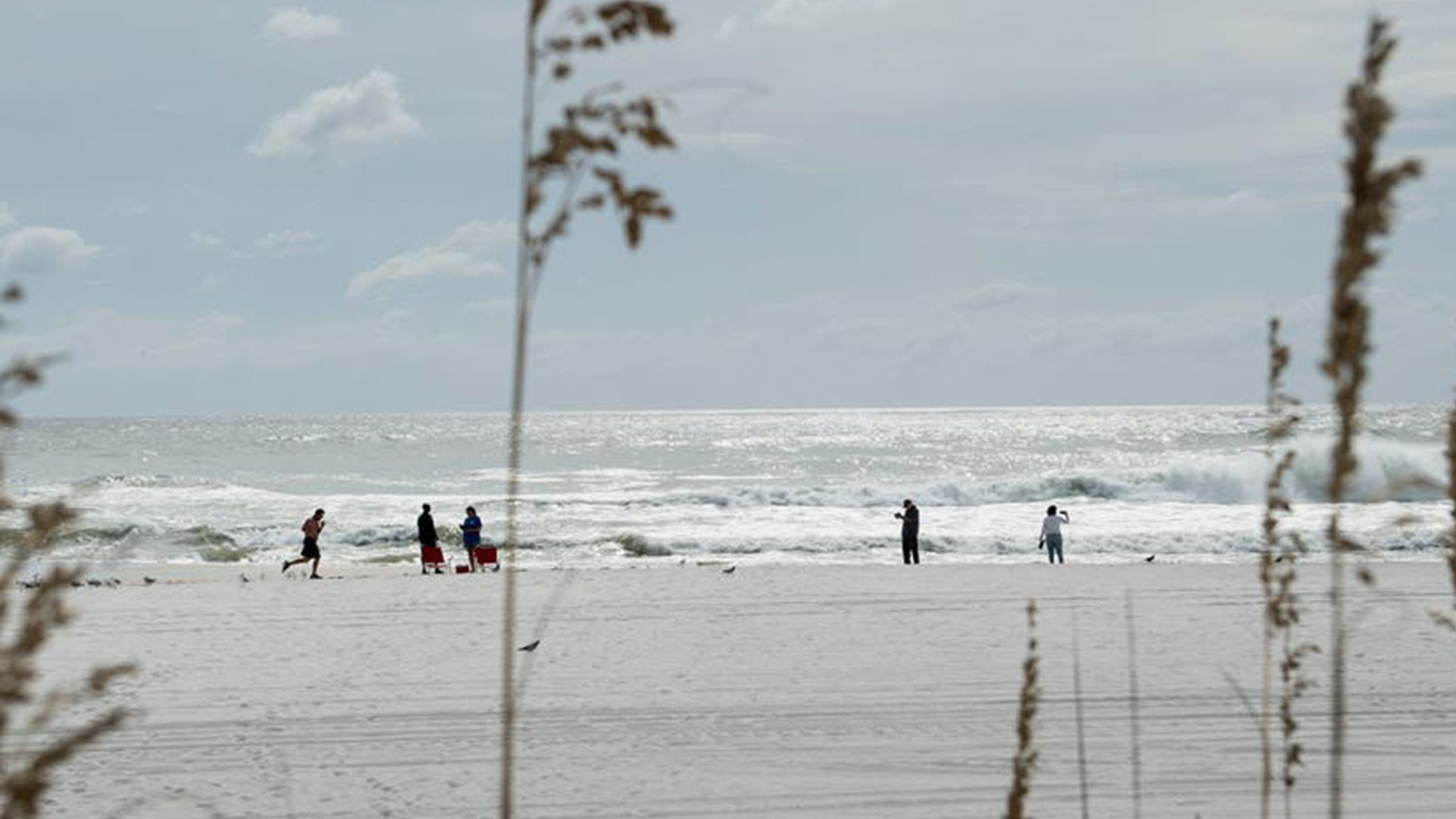 Father of 2 drowns after being caught in current trying to rescue seagull caught in fishing line — Woodbury Community news