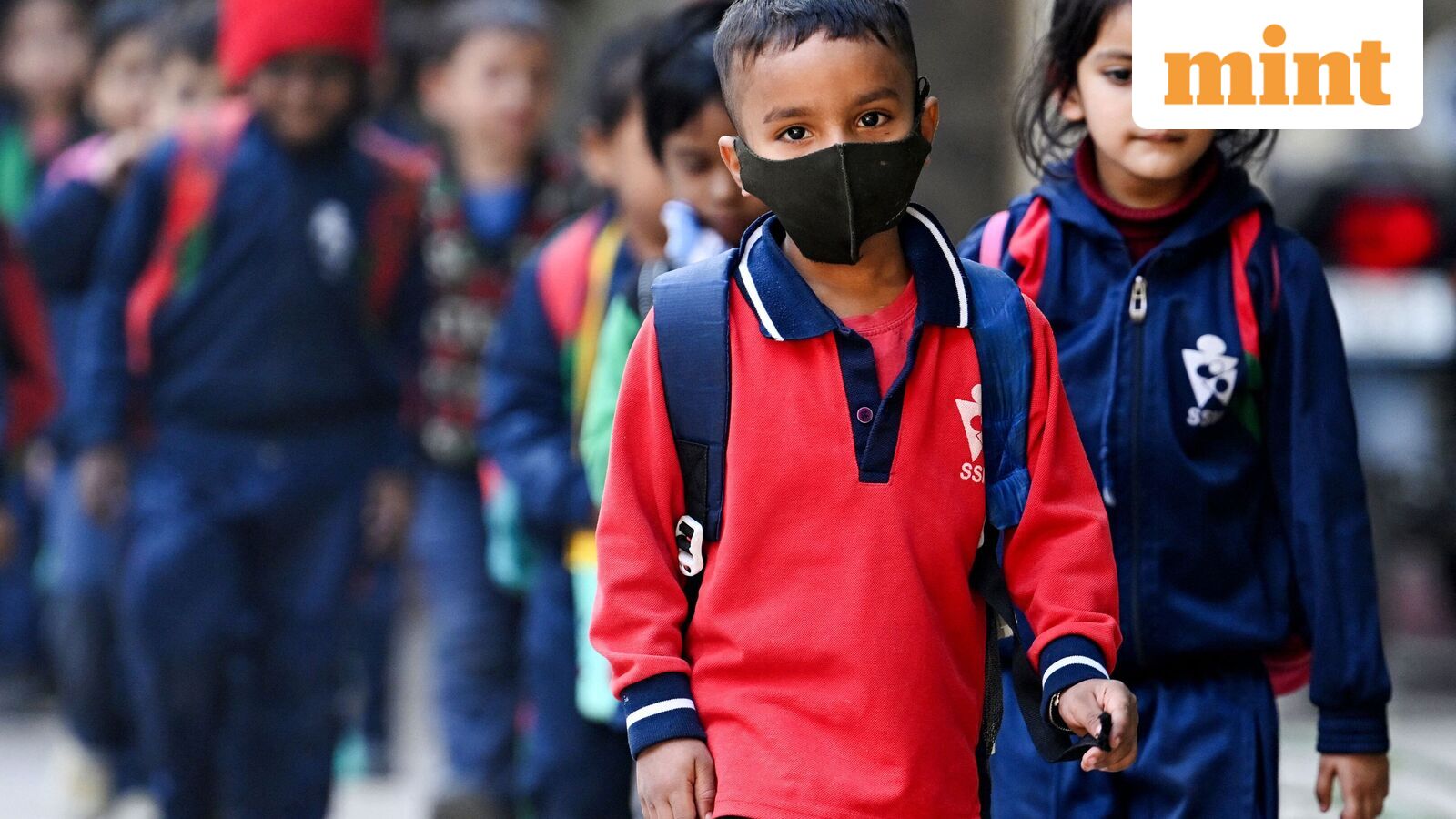 Chennai school holiday, Oct 21: Schools shut in four Tamil Nadu districts as heavy rains predicted | Check IMD alert — Mint India, Woodbury Schools news
